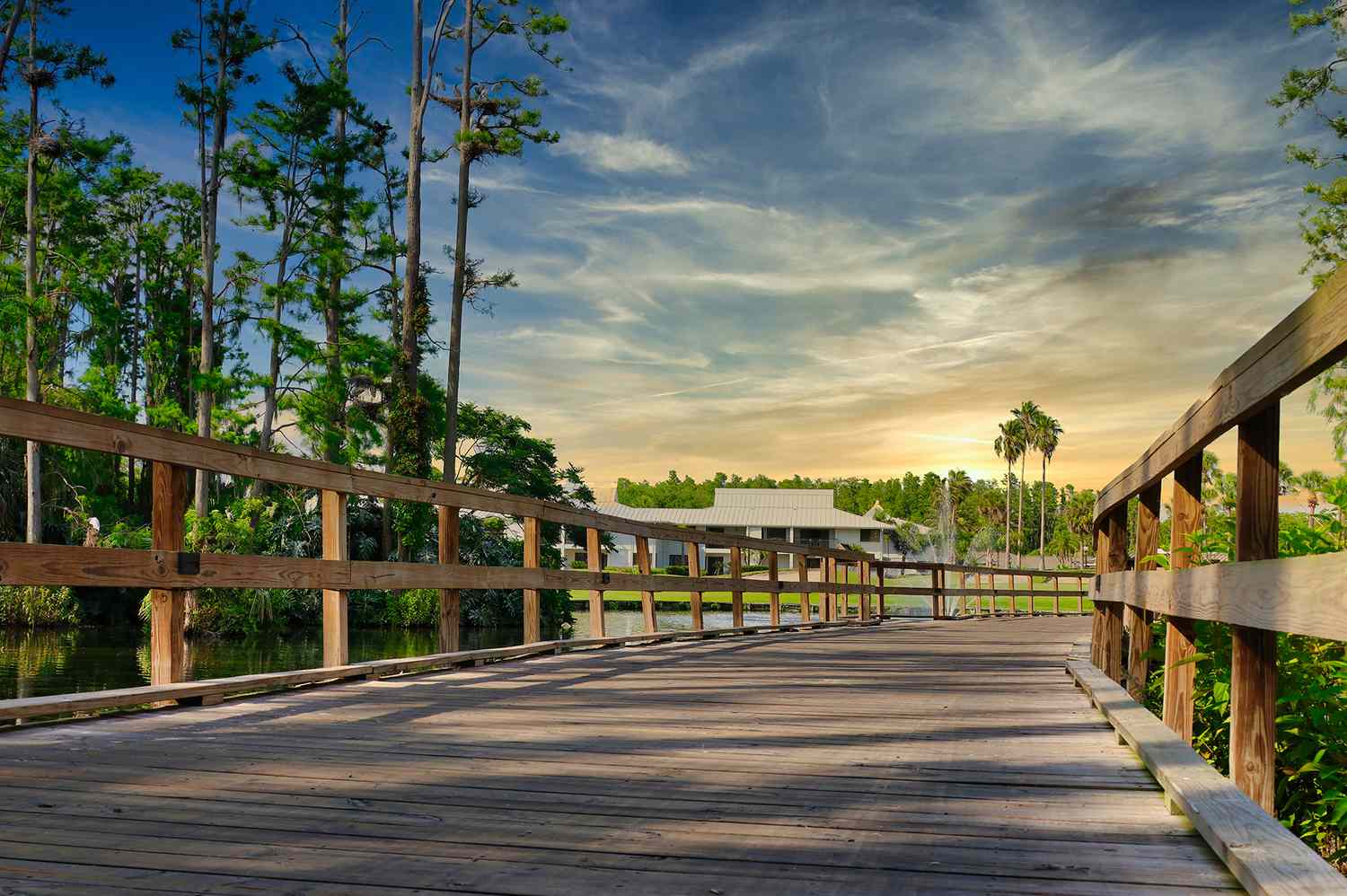 Inside the $92M Saddlebrook Resort Renovation