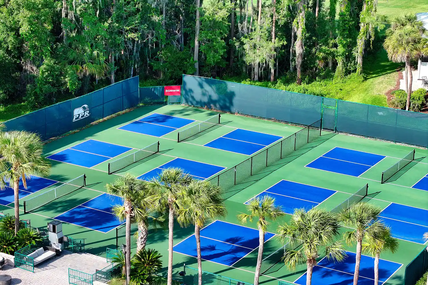 Newly paved pickleball courts at Saddlebrook Resort surrounded by lush green trees.