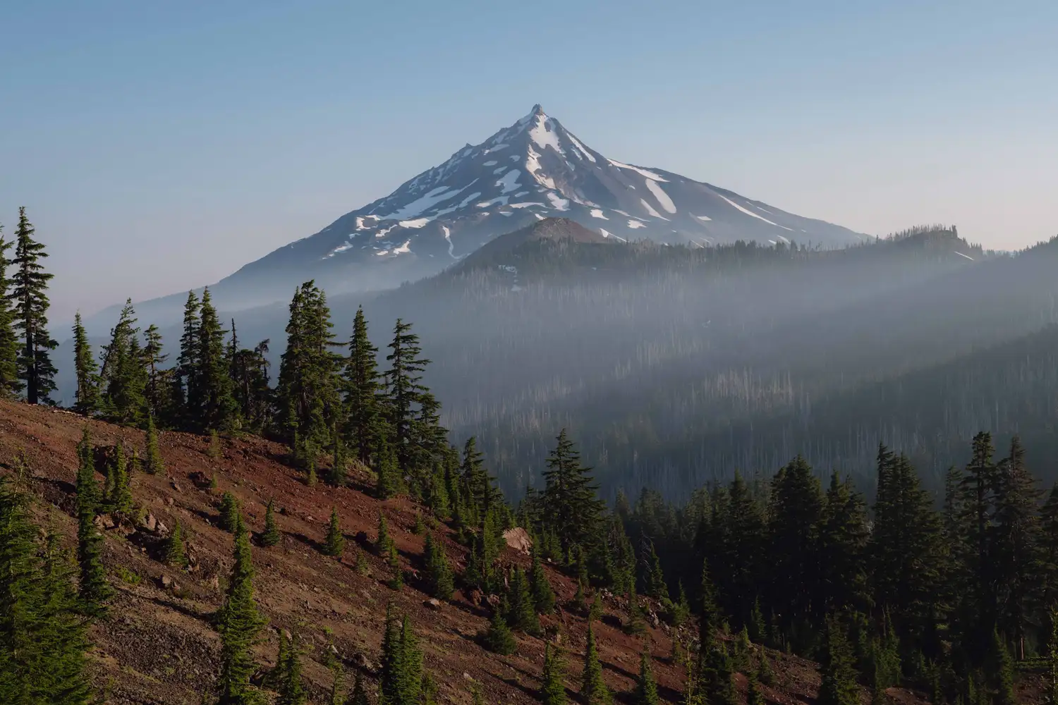 The snow-covered peak of Mount Bachelor seen from a sun-dappled forest clearing.