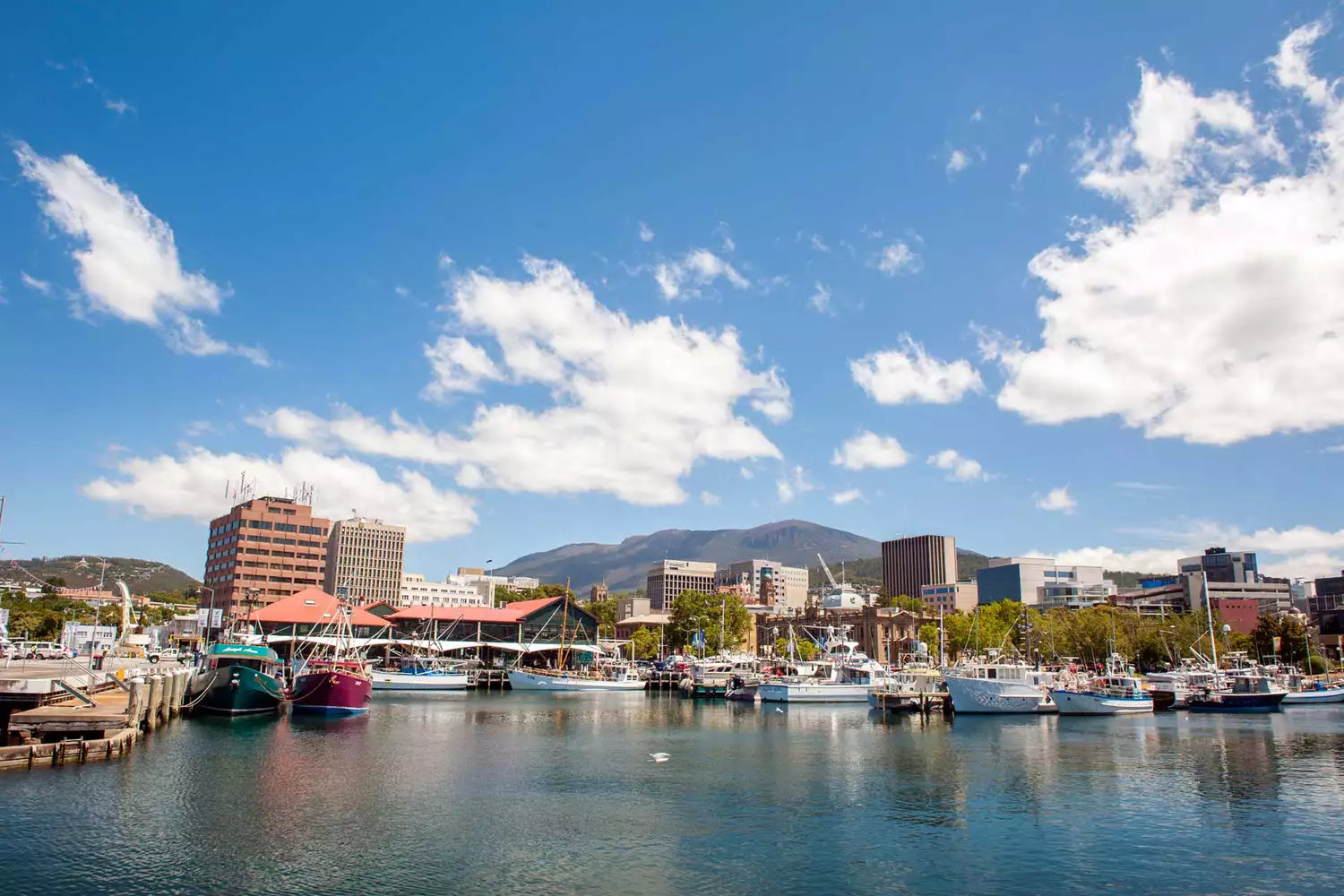 The city of Hobart with Mount Wellington in the background.
