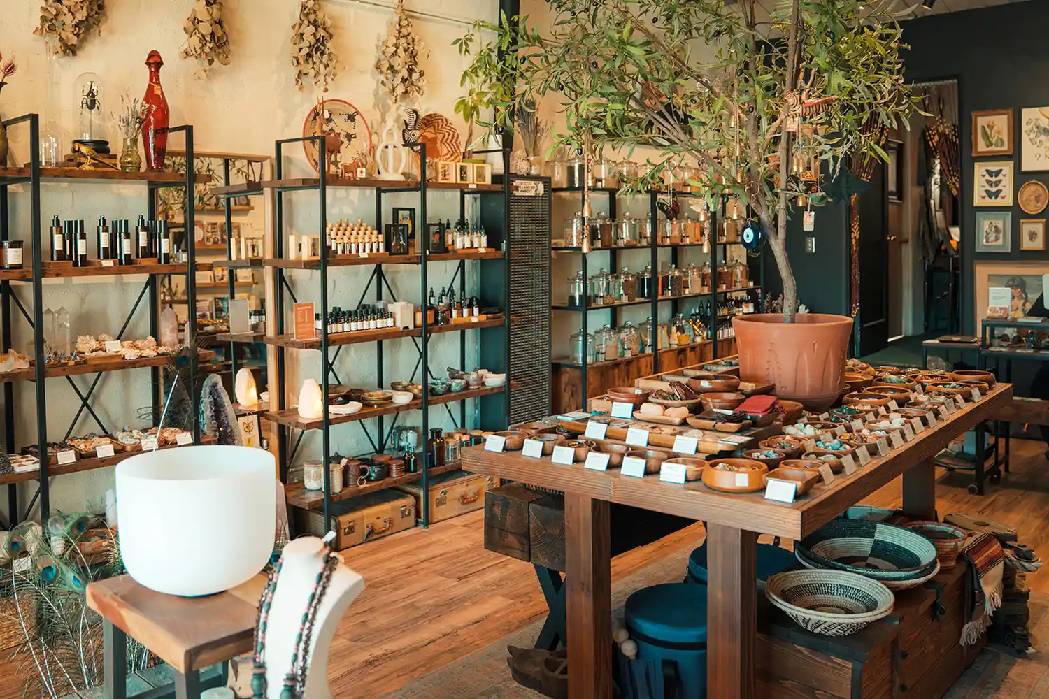 Interior of Mojave Moon Apothecary featuring neatly organized shelves of local wellness products.