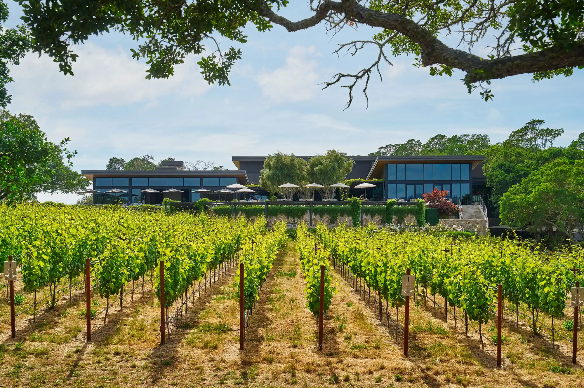 Exterior view of the modern luxury architecture at Montage Healdsburg nestled among trees.
