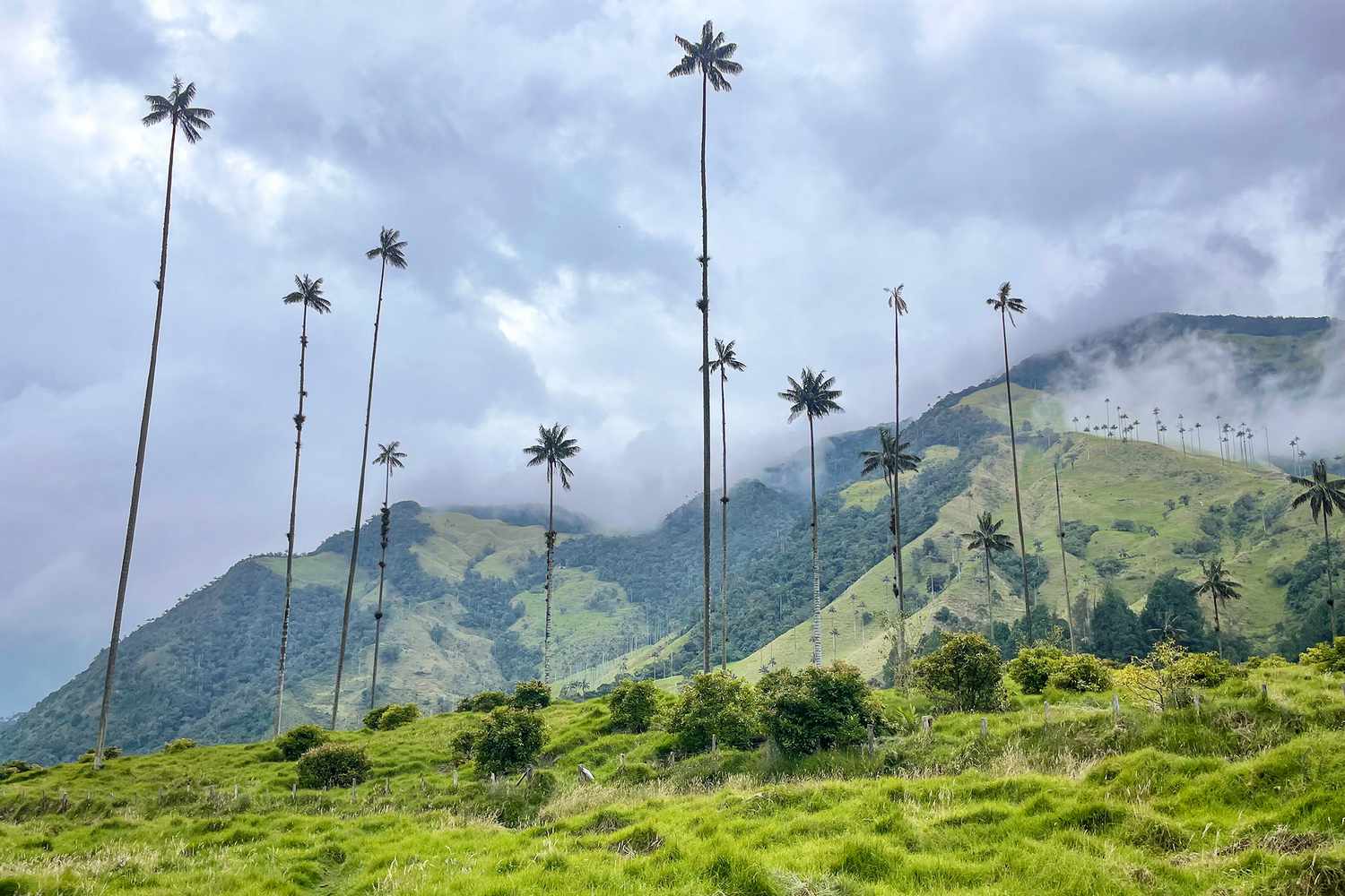 Disney's Encanto Colombia Tour: Itinerary & Guide