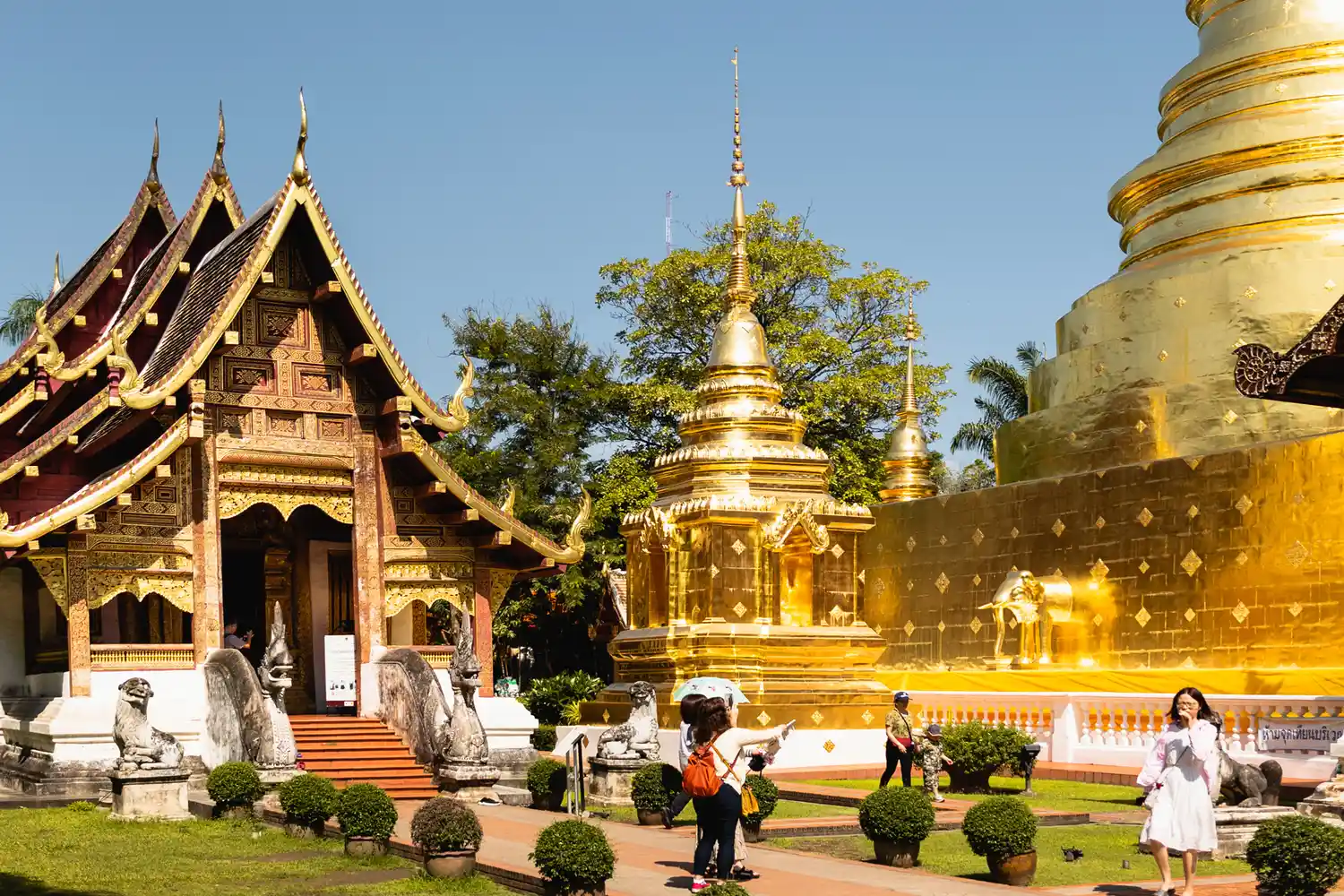 Wat Phra Singh temple complex in Chiang Mai with golden stupa and traditional Lanna architecture.