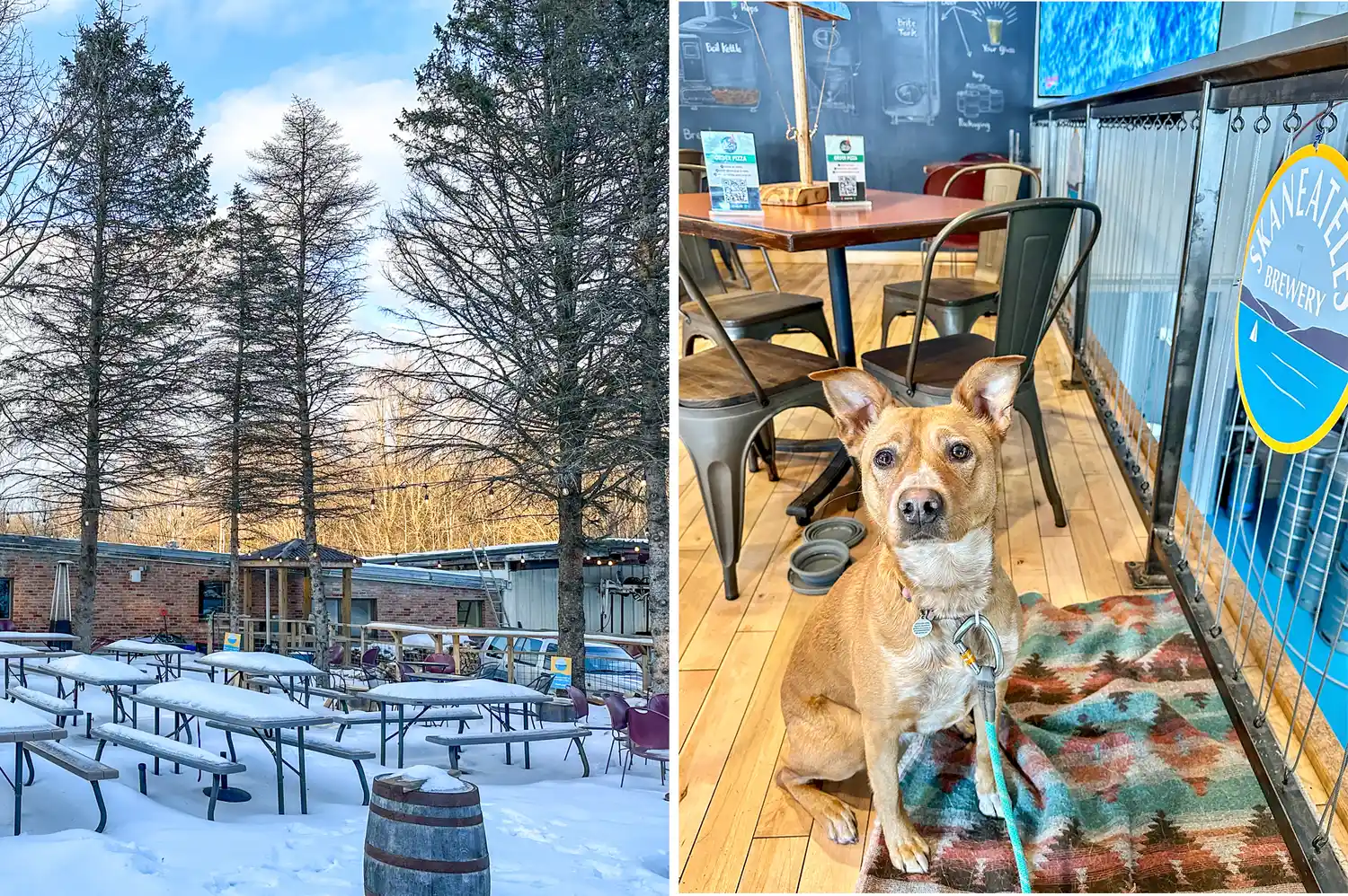 A dog sitting patiently under a table at the Skaneateles Brewery.
