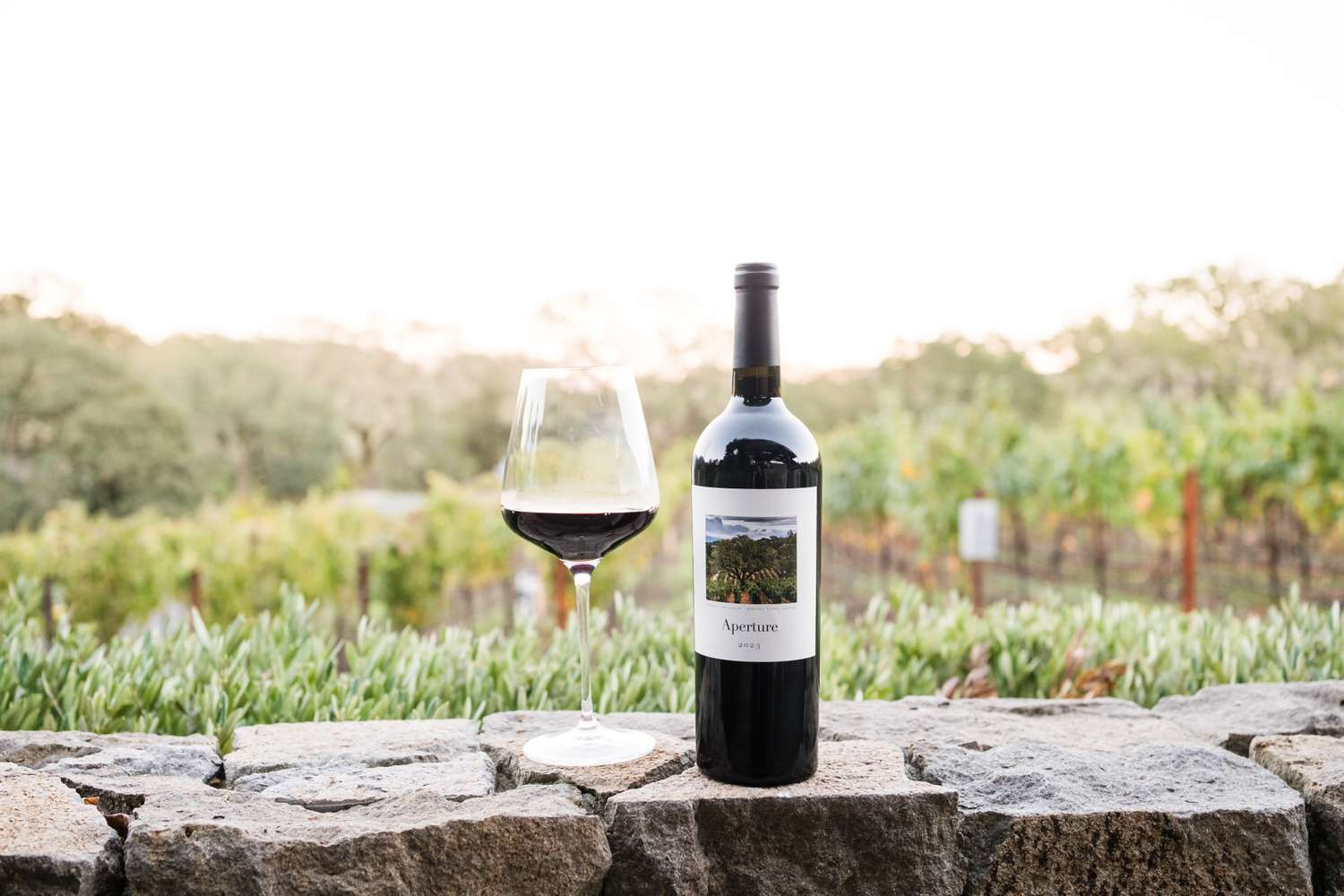 Montage Estate Wine: Exclusive Jesse Katz Collaboration