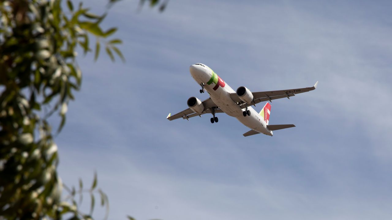 TAP Air Portugal Stopover: A Complete 2026 Guide