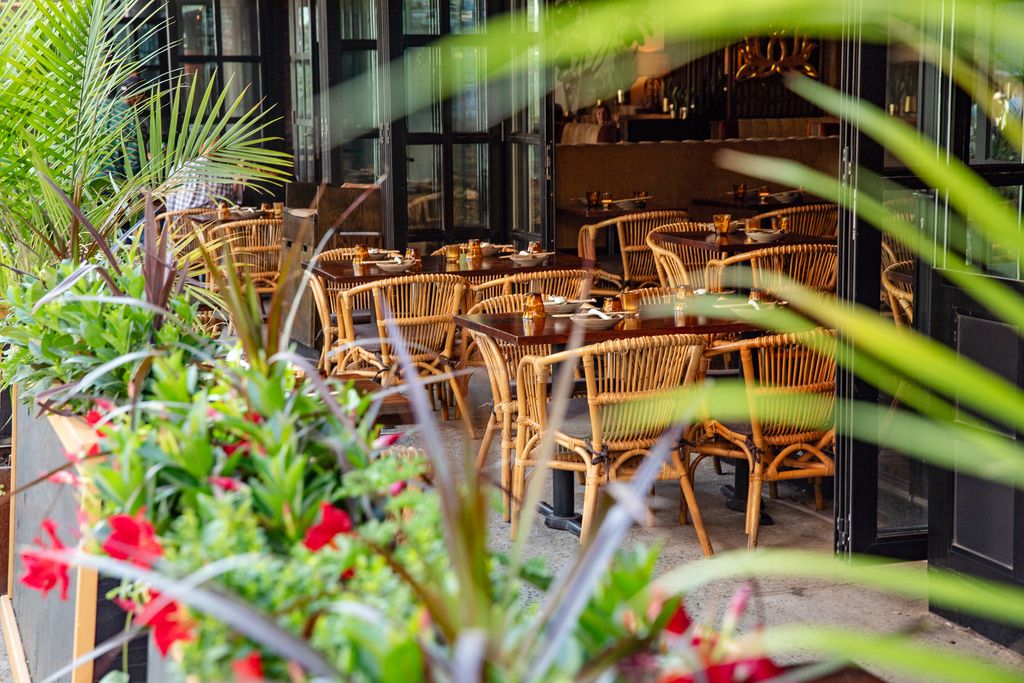 A lush, plant-filled outdoor garden patio with bamboo seating at The Tyger.