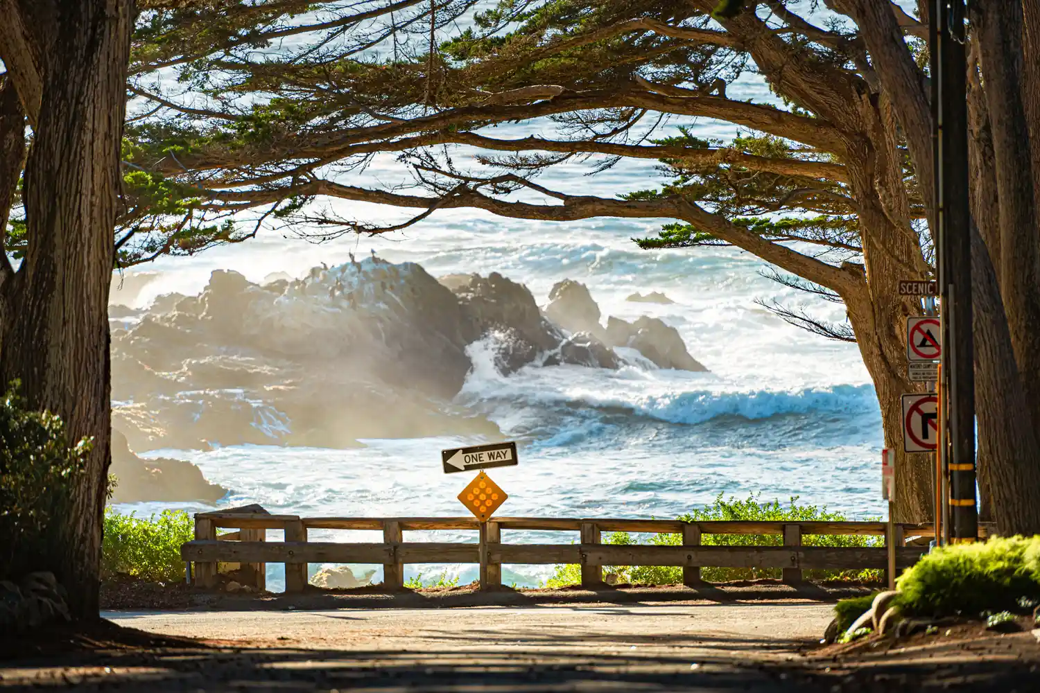 California Central Coast Scenic Road Trip Guide