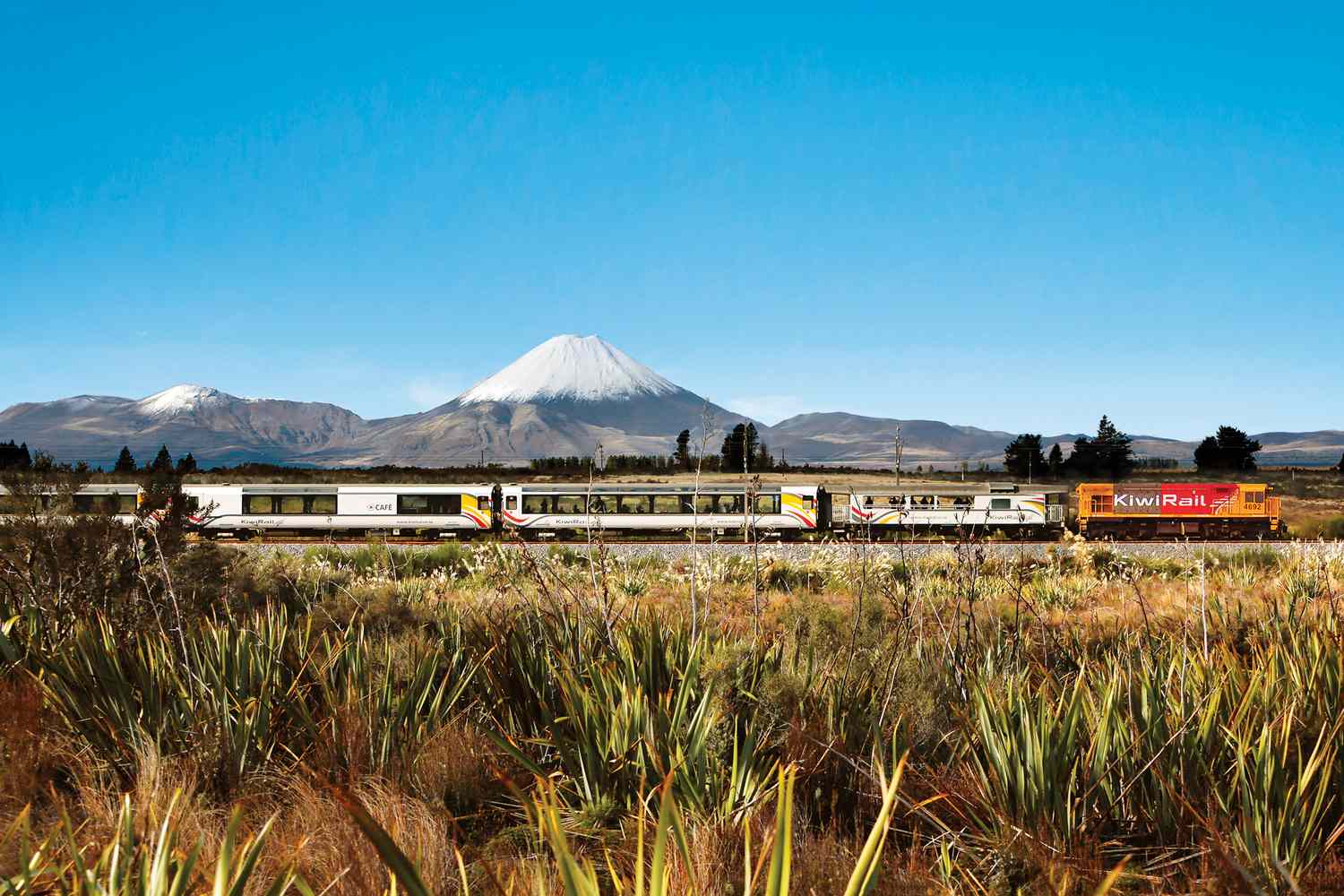 Northern Explorer Train: Auckland to Wellington Guide