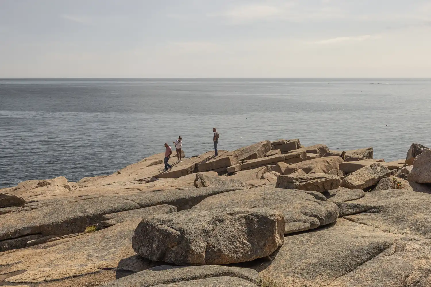 Acadia Family Vacation Guide: Best Hikes and Itinerary