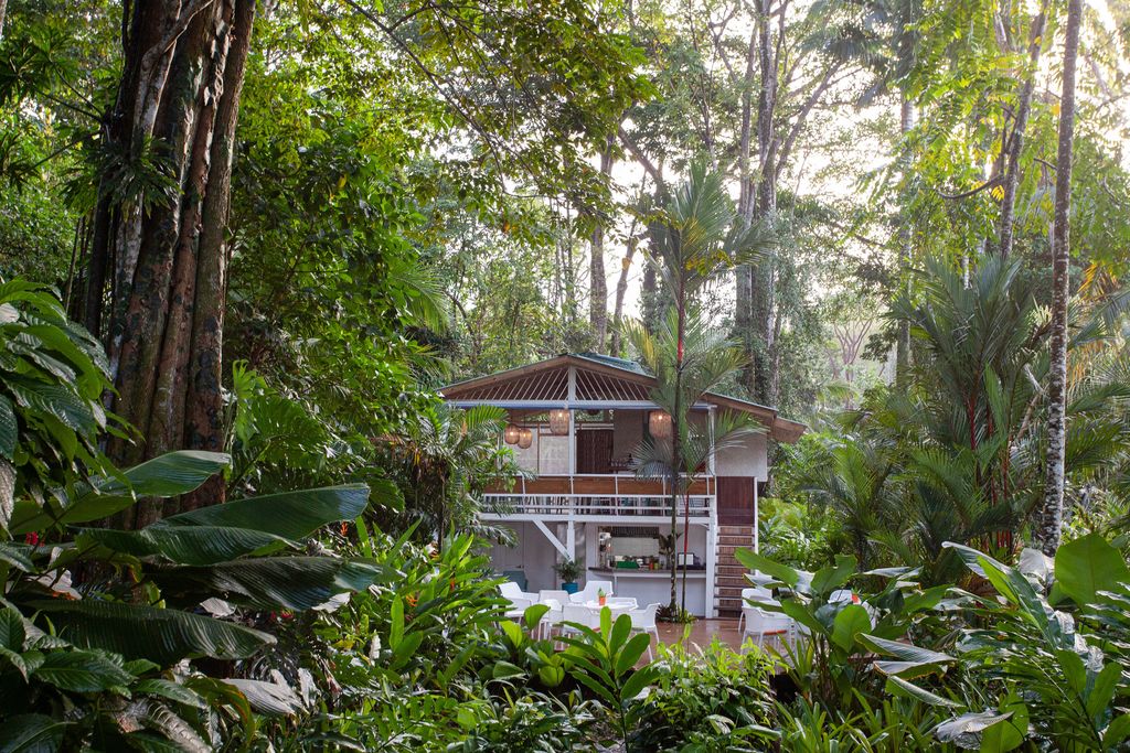 A tropical garden and terrace at Hotel Aguas Claras with swinging hammocks and lush blooms.