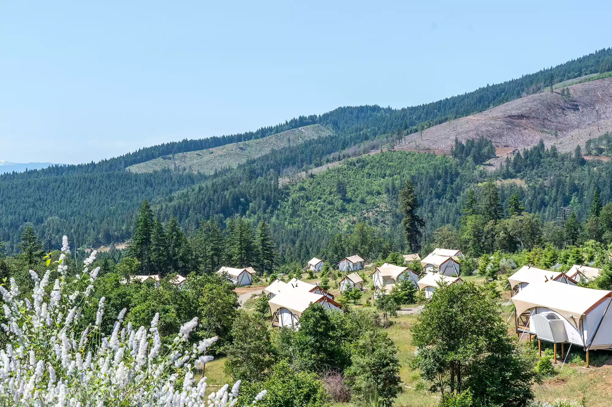 A scenic view of multiple white canvas safari-style tents nestled among trees with a mountain in the background.