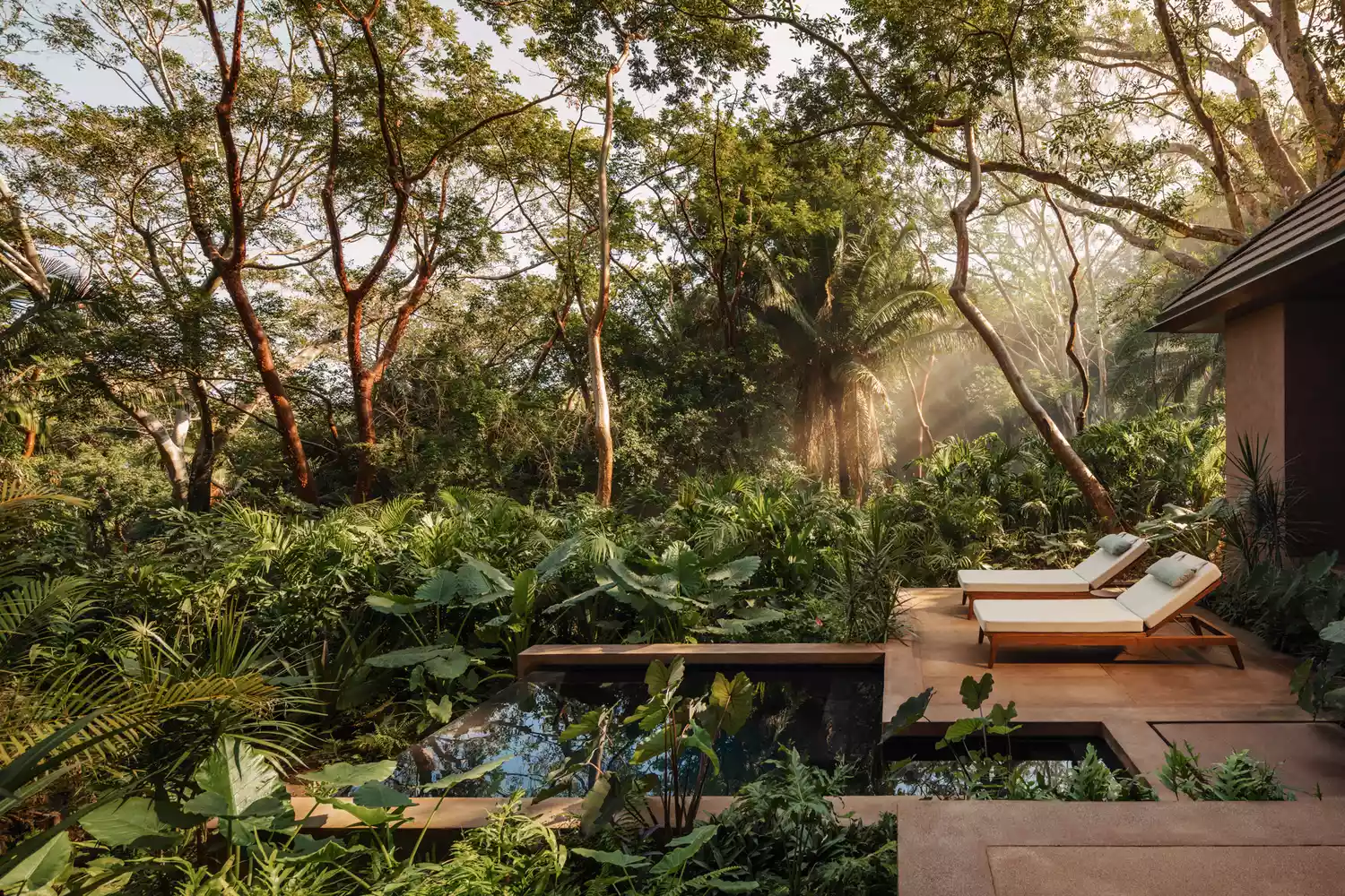 Luxury villa construction integrated into a dense tropical forest canopy.
