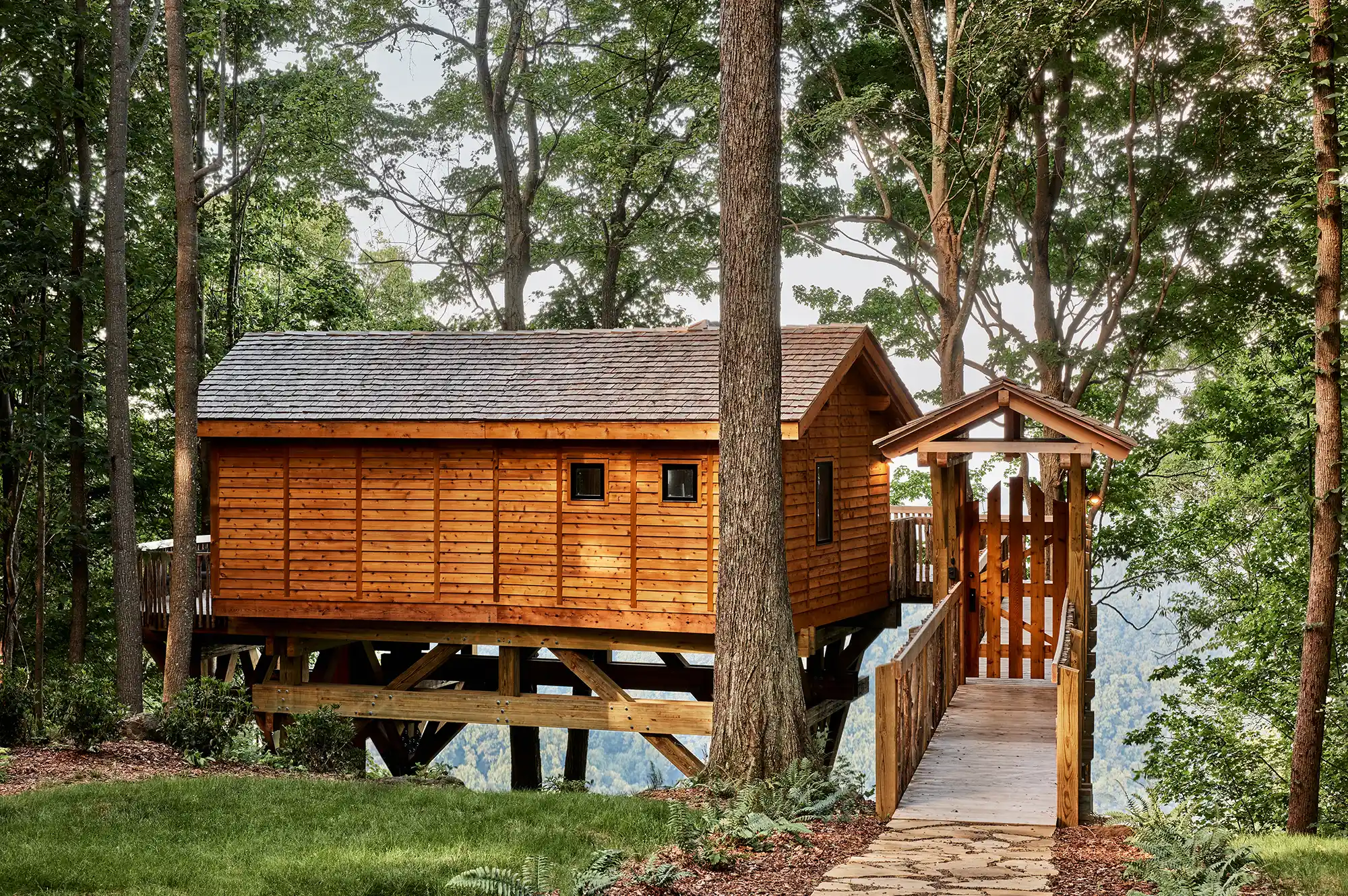 A luxury wooden treehouse with a bridge entrance nestled in a lush forest.