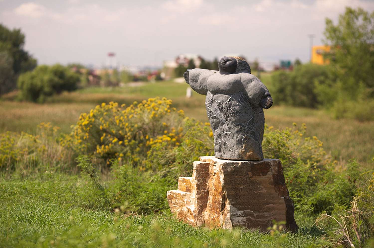 Chapungu Sculpture Park: Zimbabwean Art in Loveland