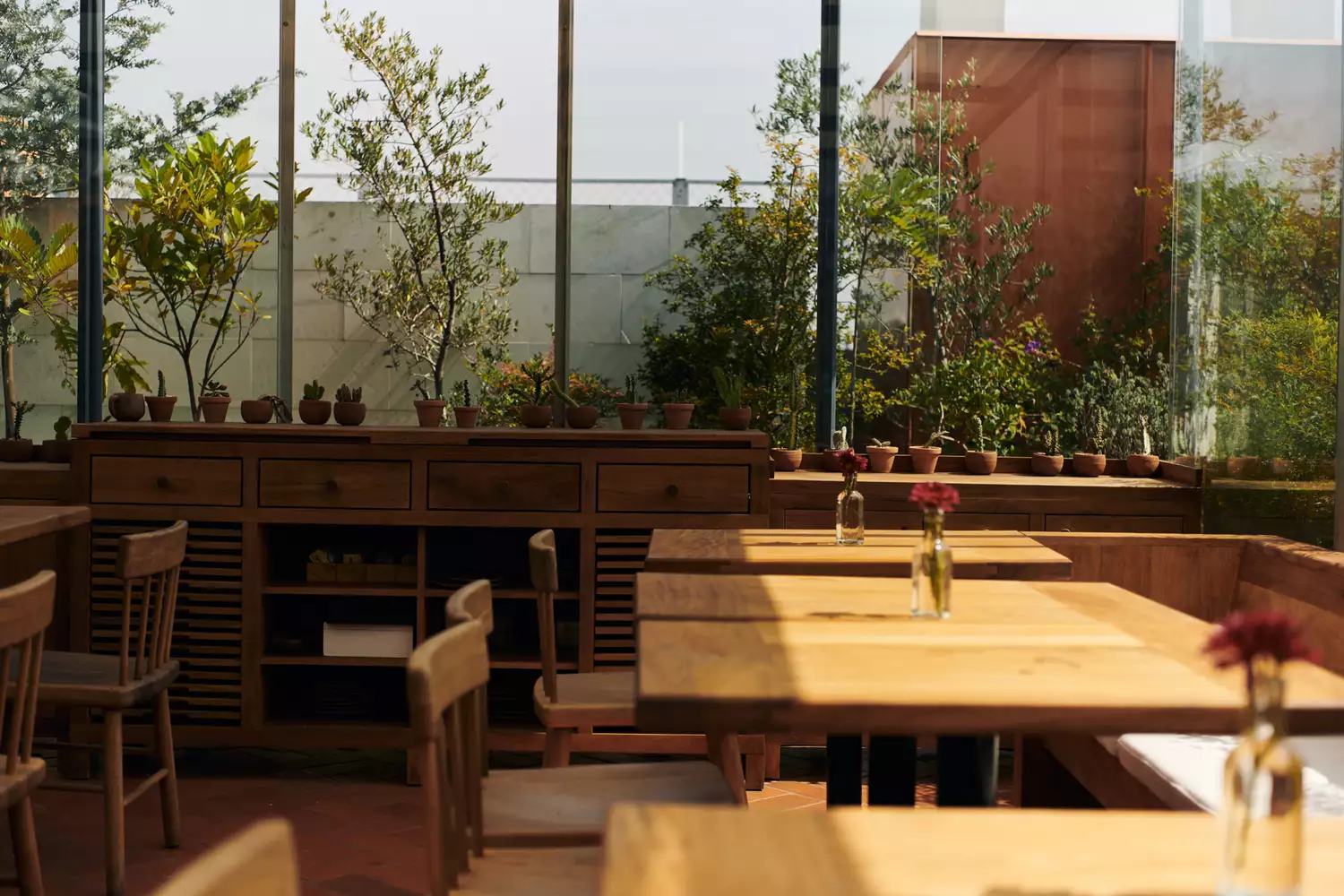 A minimalist and modern restaurant space within the historic Círculo Mexicano building.