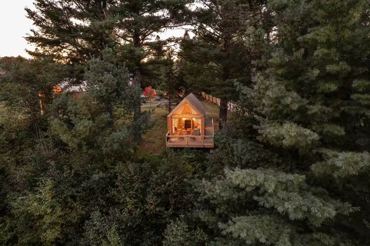 A minimalist triangular wood cabin or Lushna suite surrounded by lush forest trees.
