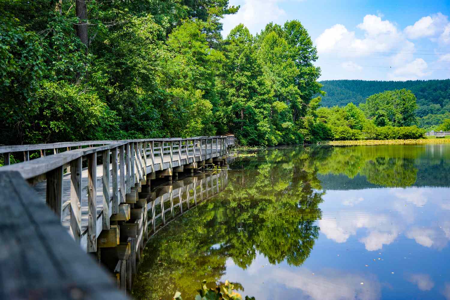 James River State Park: Stargazing & Scenic Views Guide