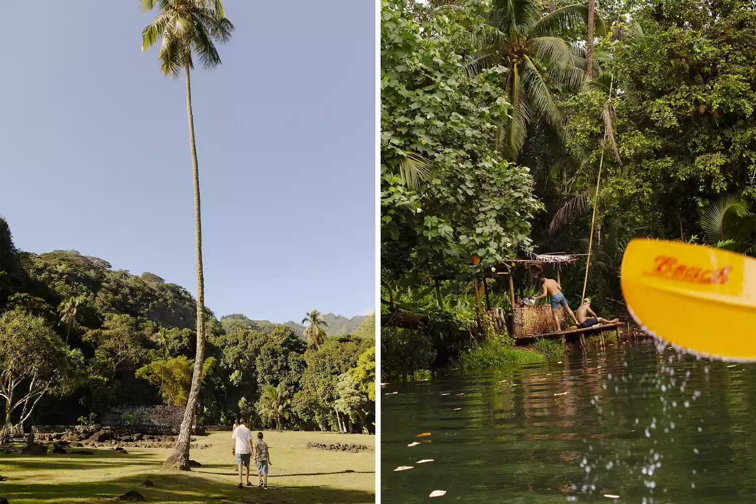 People walking by a palm tree in Tahiti and a close-up of a kayak oar in a lush river.