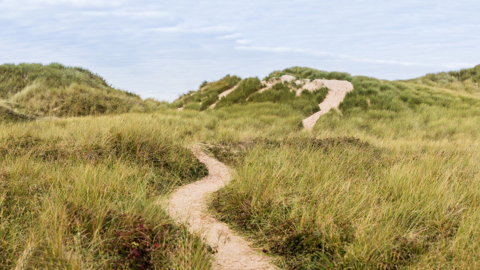 A wide trail path cutting through a grassy field under a clear sky.