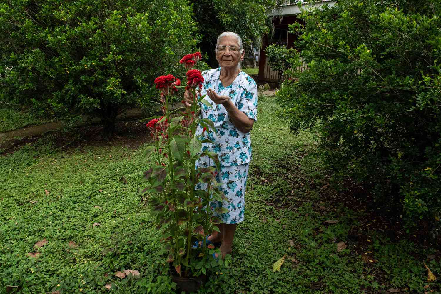 Nicoya Peninsula Longevity: Why Residents Live to 100