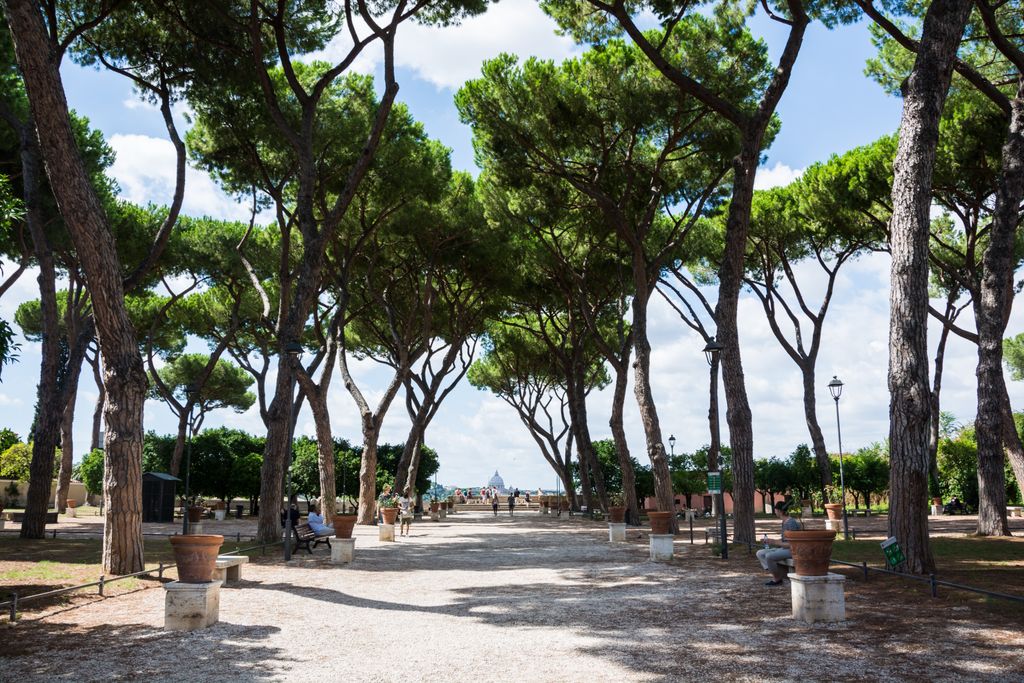 Orange trees and umbrella pines in the Giardino degli Aranci overlooking Rome.