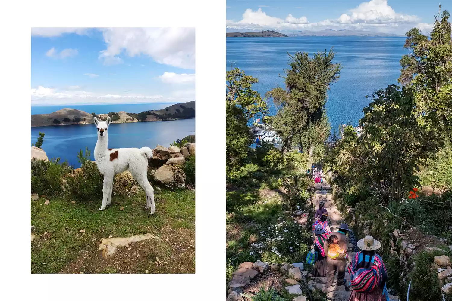 A llama standing on a hillside above the lake and travelers walking down a scenic stone footpath.