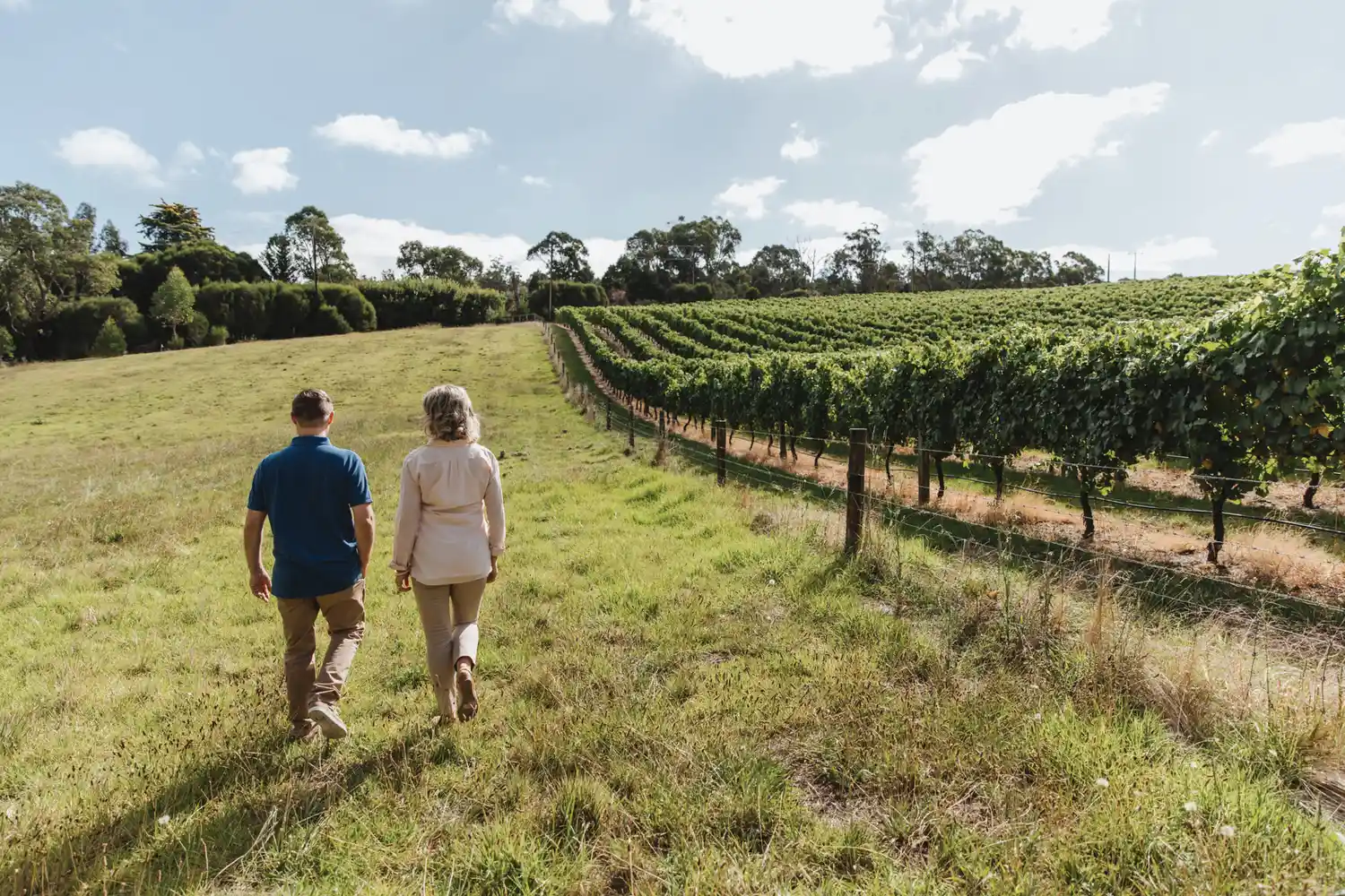 Two people walking through the lush green rows of a vineyard in the Barossa Valley.