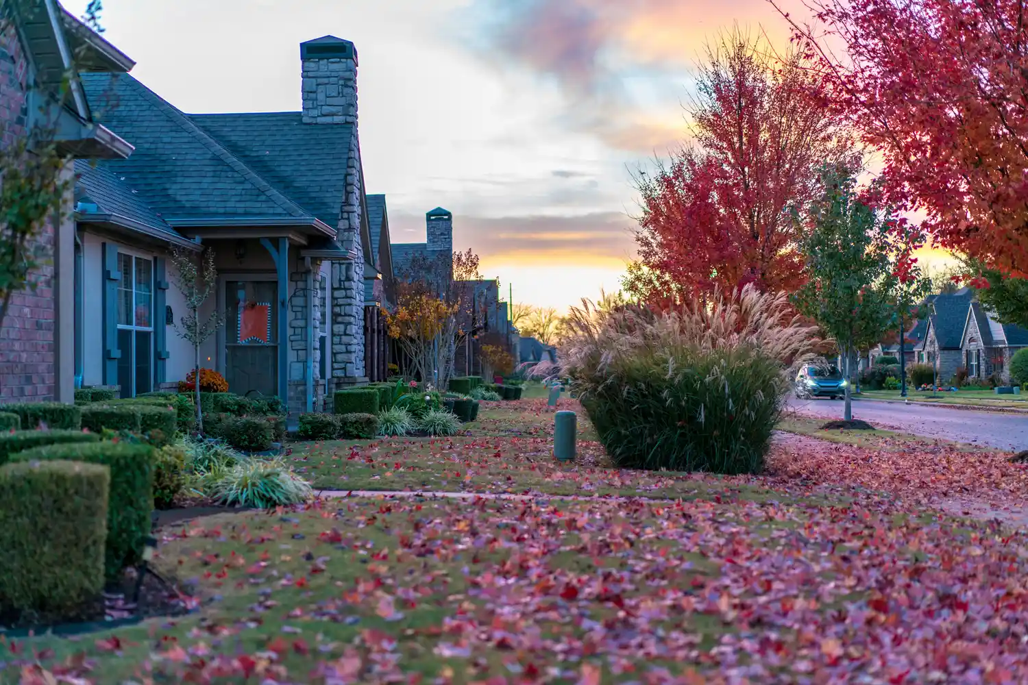 Residential street with houses trees and fallen leaves during sunset