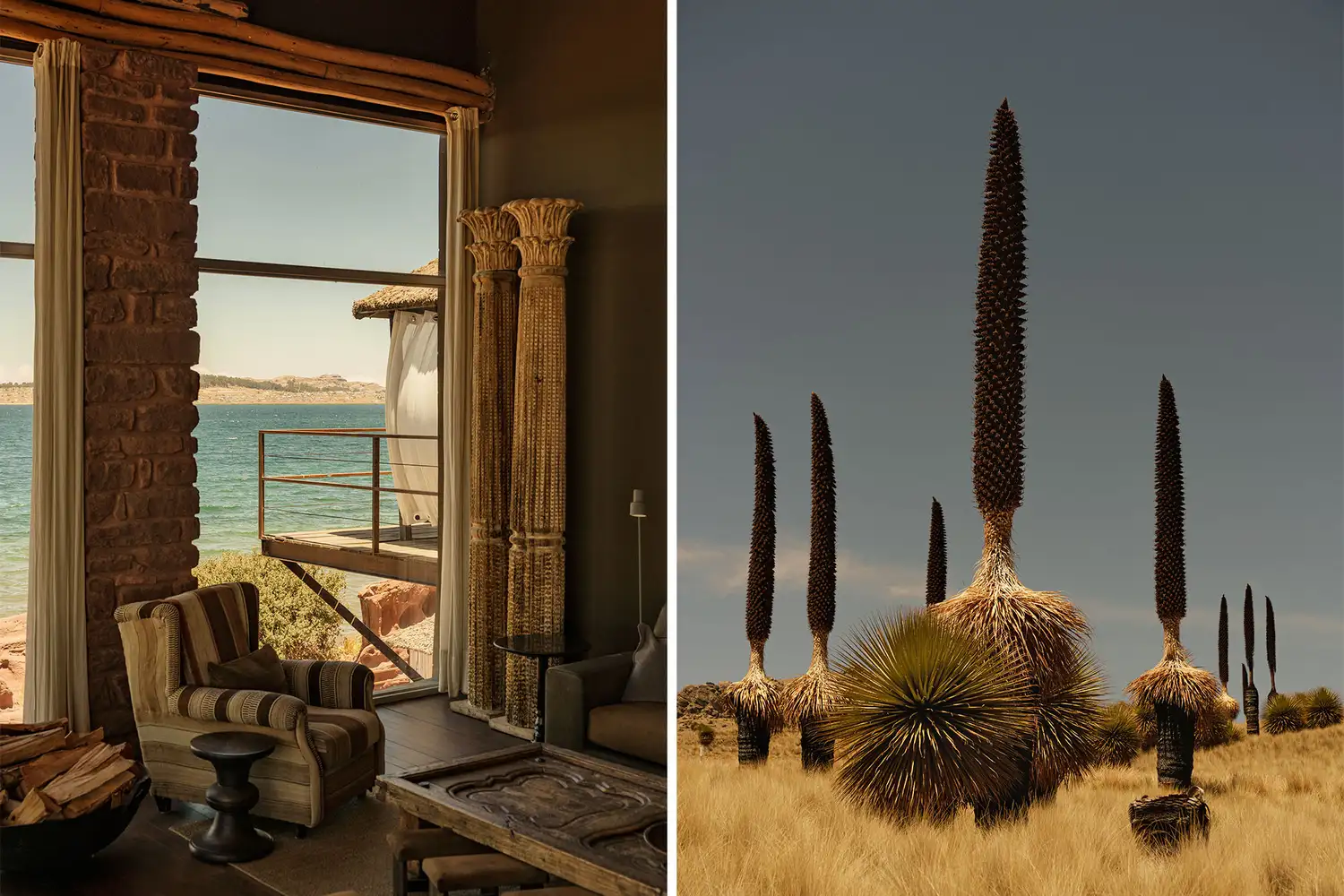 Left side shows a scenic lakeside seating area at Titilaka; right side shows the rare Puya raimondii plant standing tall in the Tinajani landscape.