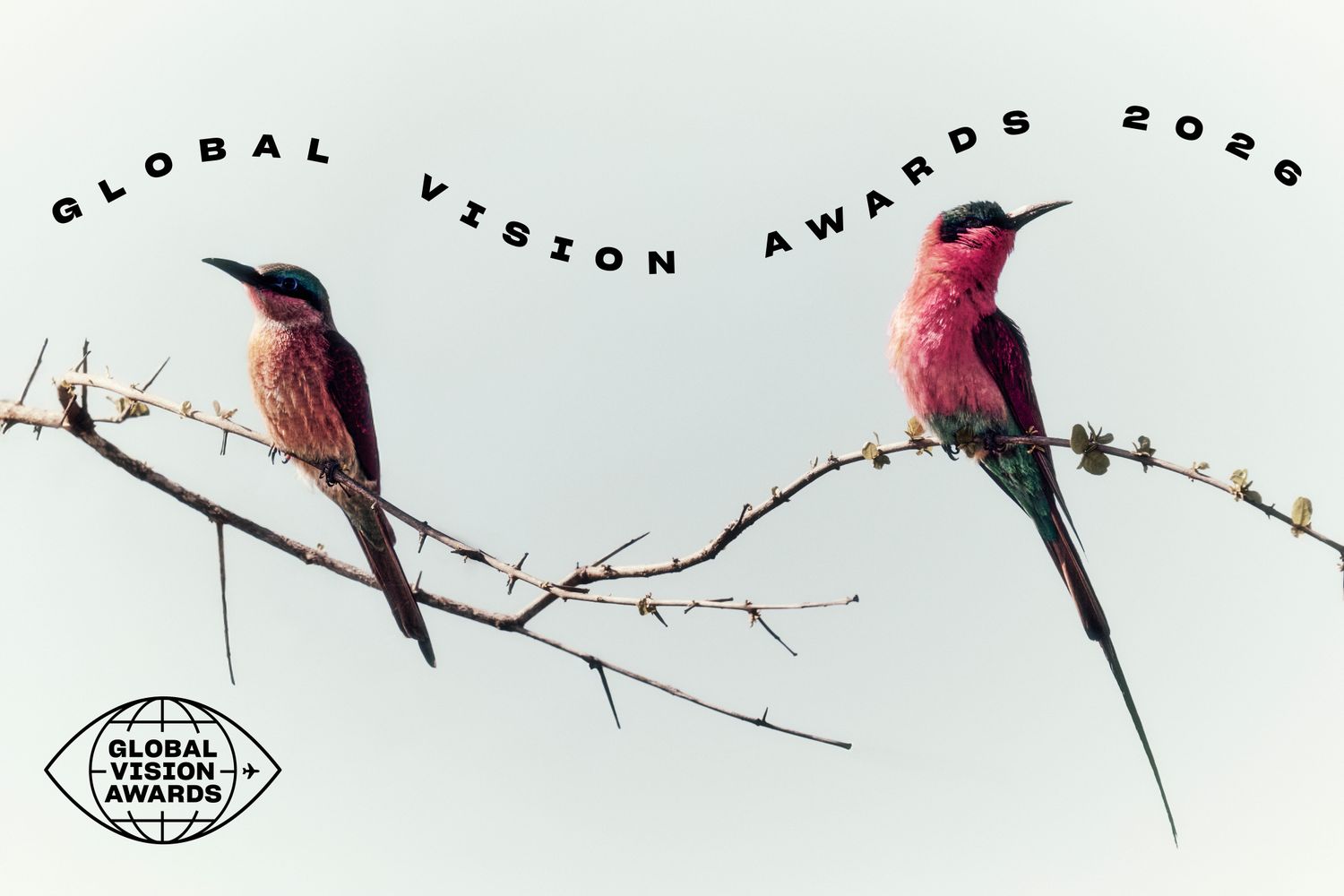 2026 Global Vision Awards: Meet Travel's Top Trailblazers