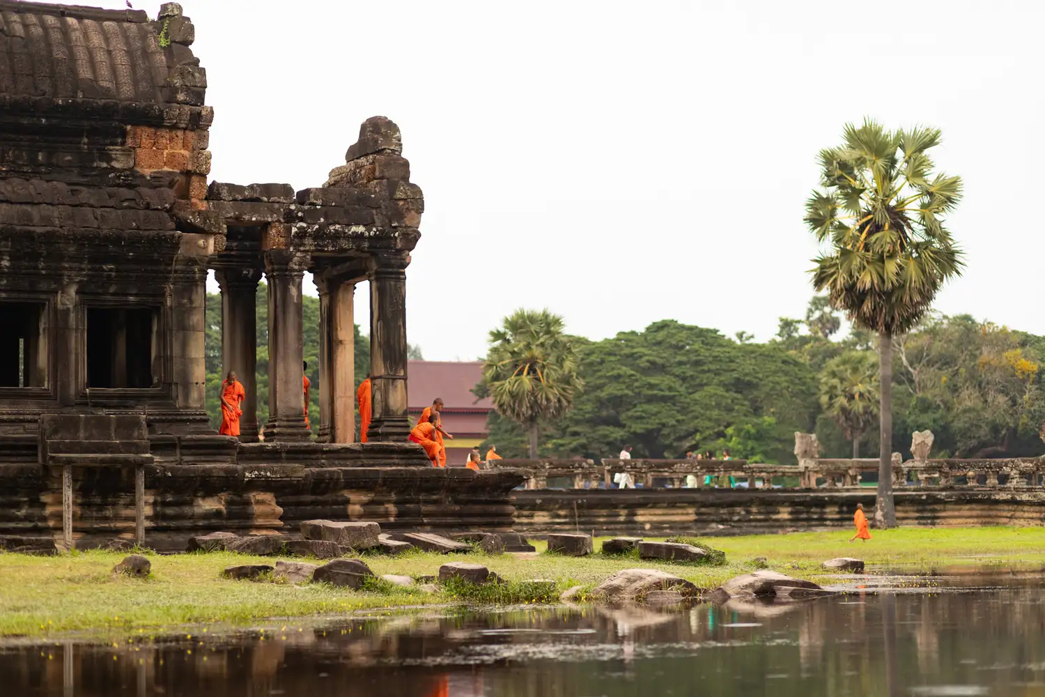 Young monks exploring the ancient ruins of Angkor Wat in Siem Reap.
