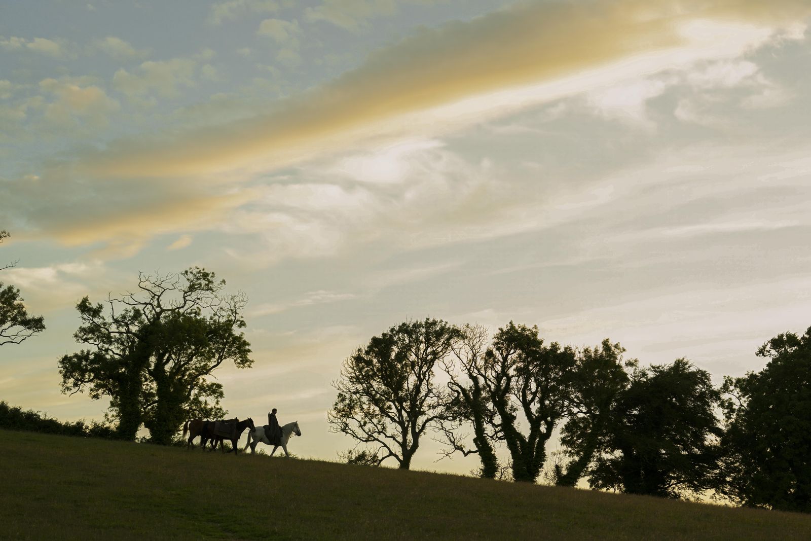 Rolling green hills with a prominent oak tree under a soft sky, representing Ashford Meadow.