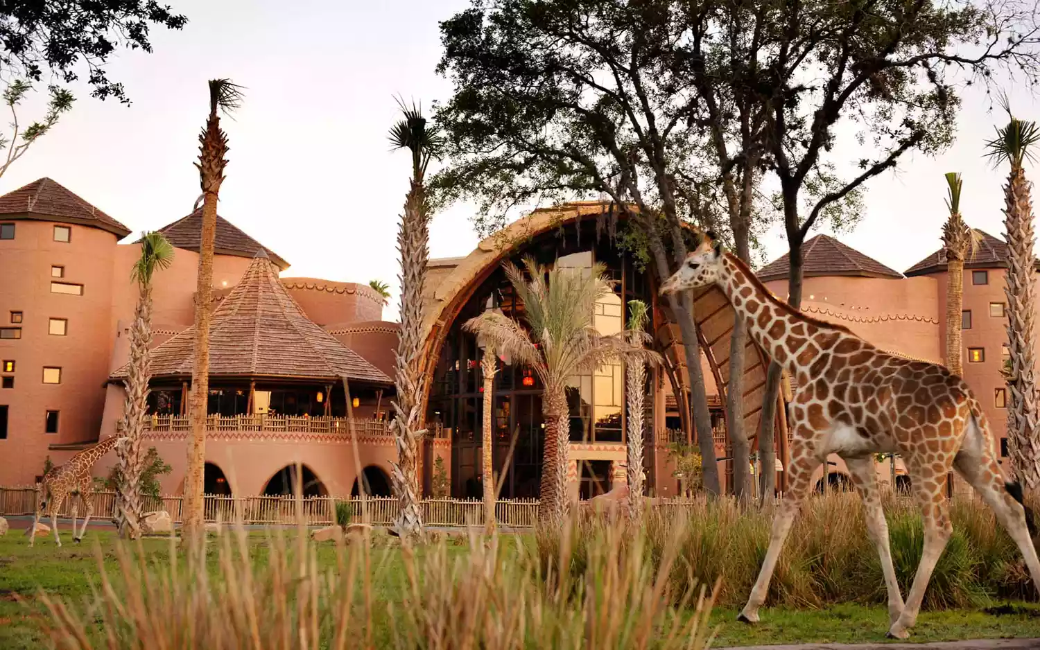 A view of the African savanna-inspired landscape at Disney's Animal Kingdom Lodge.