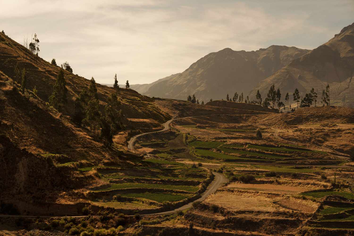 Andean: Redefining Mountain Lodges of Peru