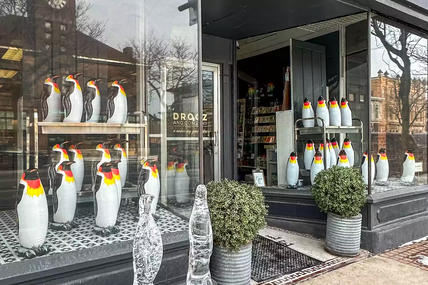 The storefront of Drooz and Co. boutique in Skaneateles, NY.