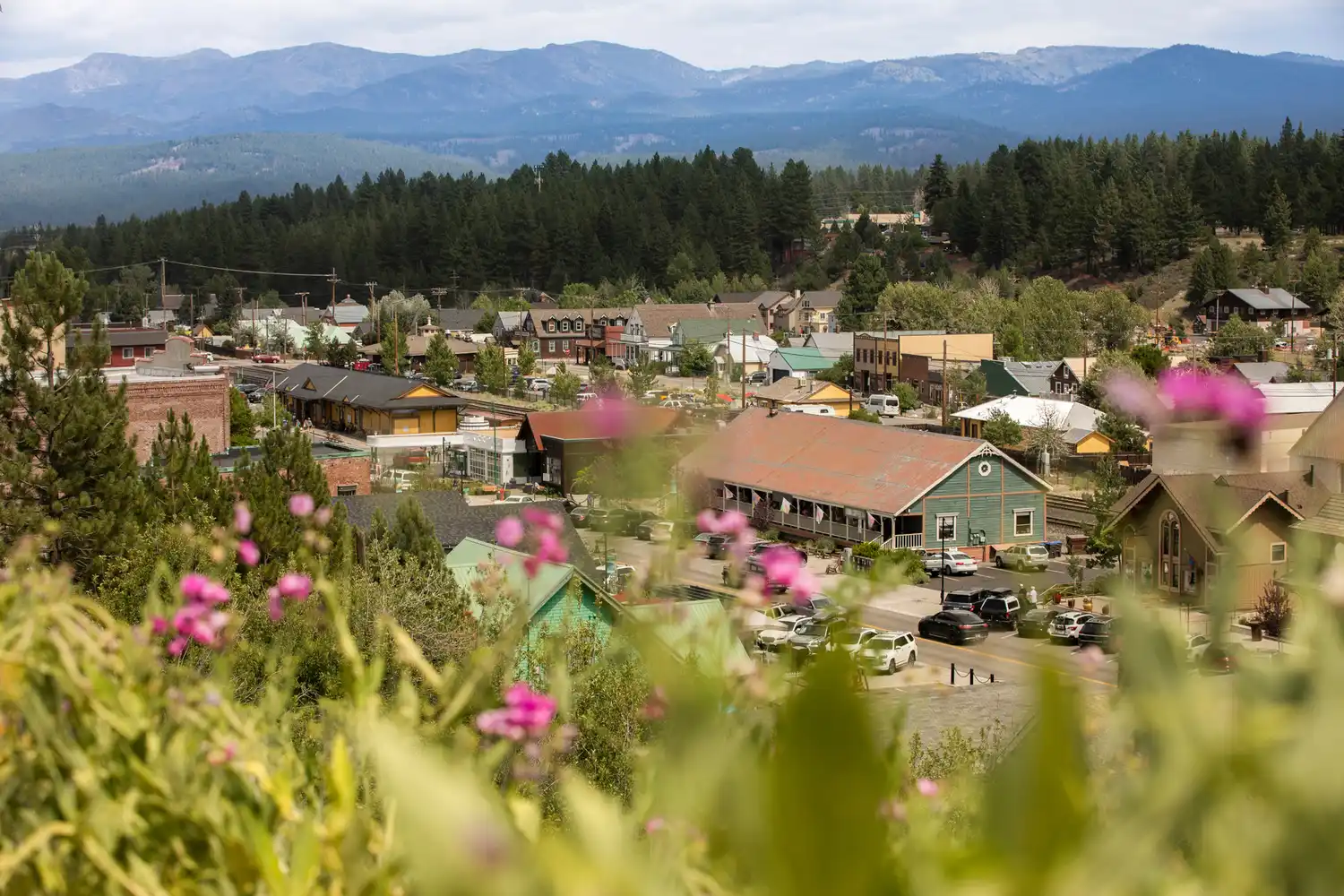 Wide shot of downtown Truckee, California, featuring local buildings and cars framed by wildflowers and evergreen forests.