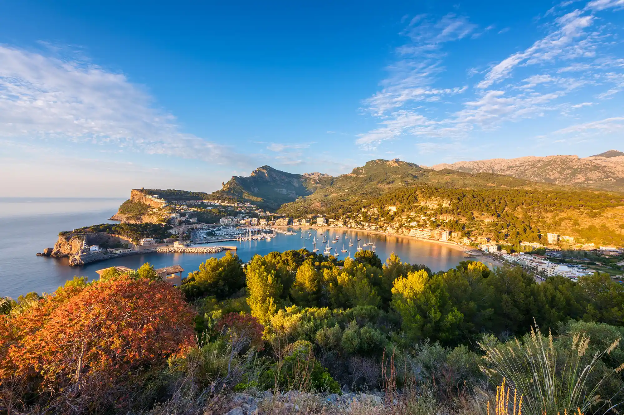 Panoramic view of the Port de Sóller marina and the surrounding hills.