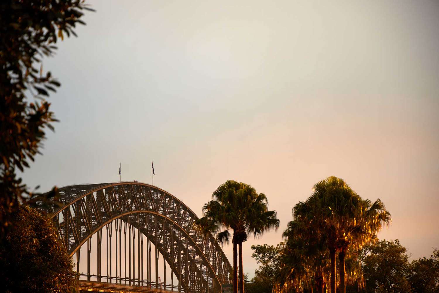 5 Best Cities in Australia and New Zealand: 2026 Guide