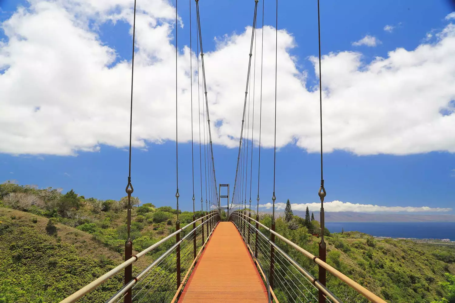 The long pedestrian walkway of the Kapalua suspension bridge showing the weathering steel lattice.