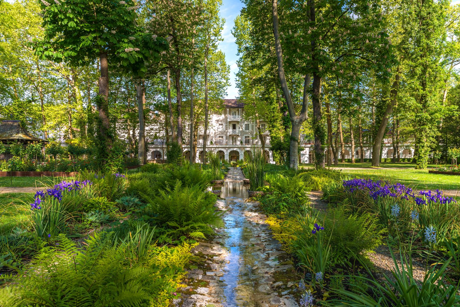 Lush green landscape and trees surrounding a luxury property in the French countryside.