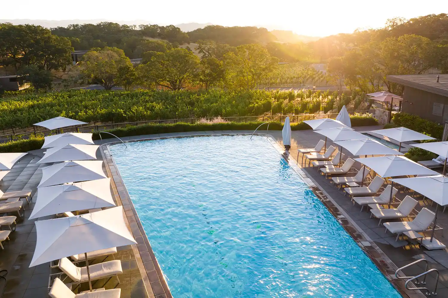 The luxury outdoor swimming pool at Montage Healdsburg with views of the surrounding vineyard.
