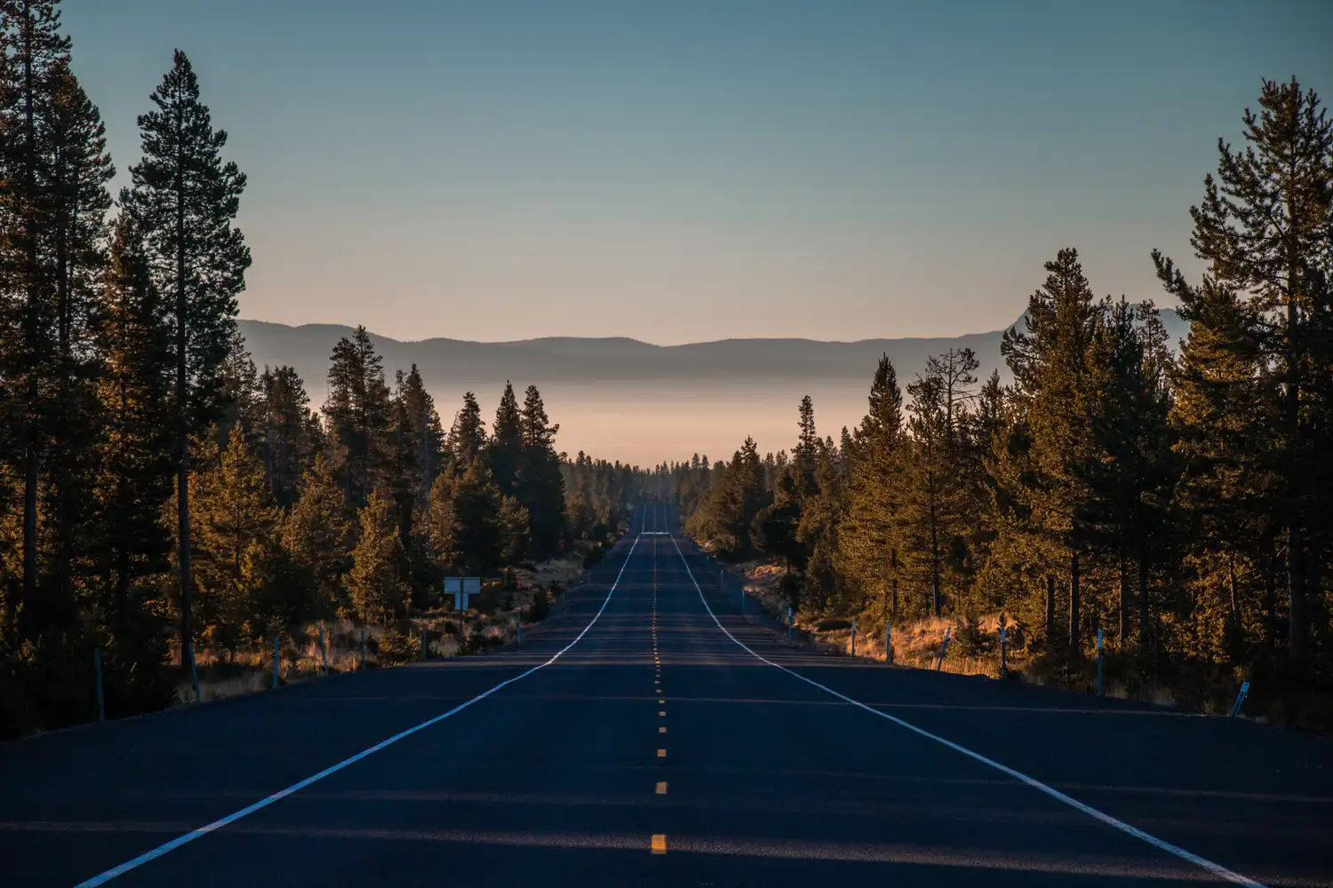 A scenic road leading through a pine forest with mountains in the background under clear blue skies.