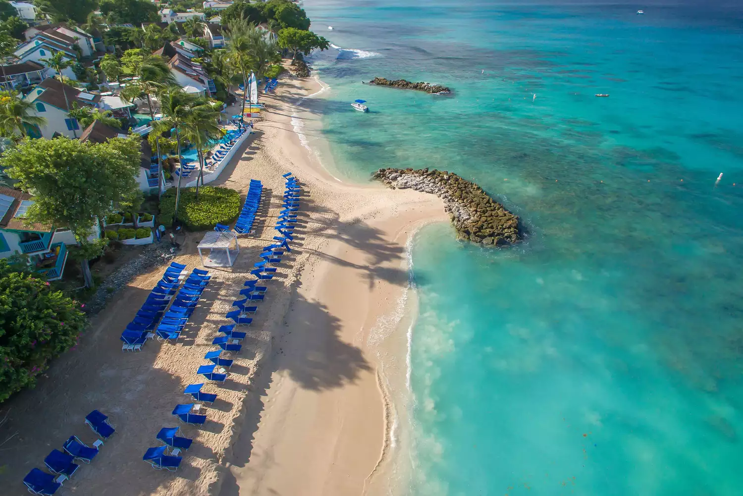 High-angle view of a white sand beach dotted with blue beach chairs and clear water at Crystal Cove.