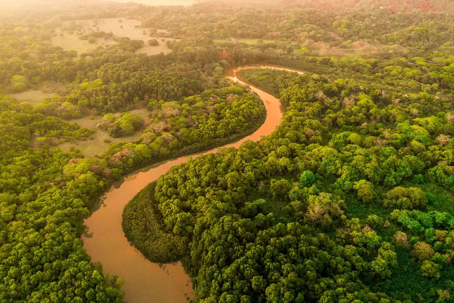 An aerial perspective of a winding river flowing through the dense jungle of Nosara.